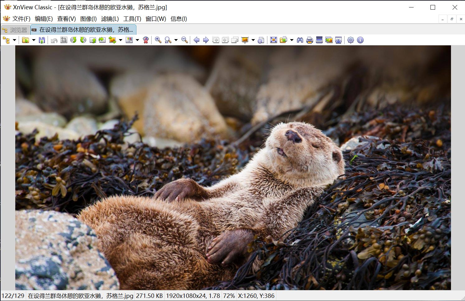 xnview怎么压缩图片,xnview工具缩略图不显示图片