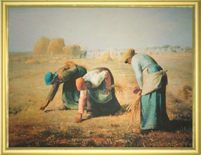 动物森友会狐狸商人商店,动物森友会狐狸艺术品能干嘛