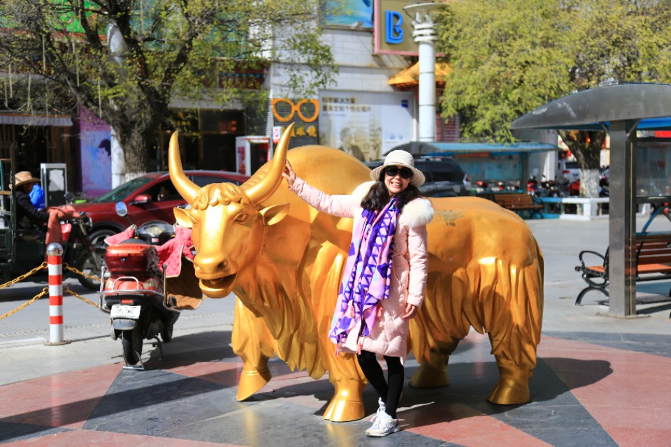 西藏旅游川进青出16天环线攻略,盘点西藏自驾游9条经典线路