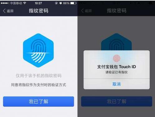 支付宝支付密码忘了怎么办,支付宝支付密码忘了怎么办小米