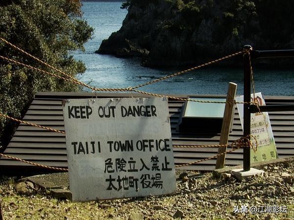 最震撼的海豚湾纪录片,海豚湾纪录片免费完整版在线