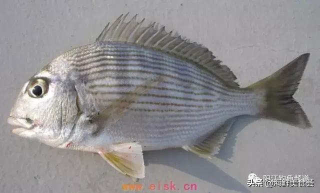 中国本土最便宜的鱼10种,哪些鱼档次又高又便宜