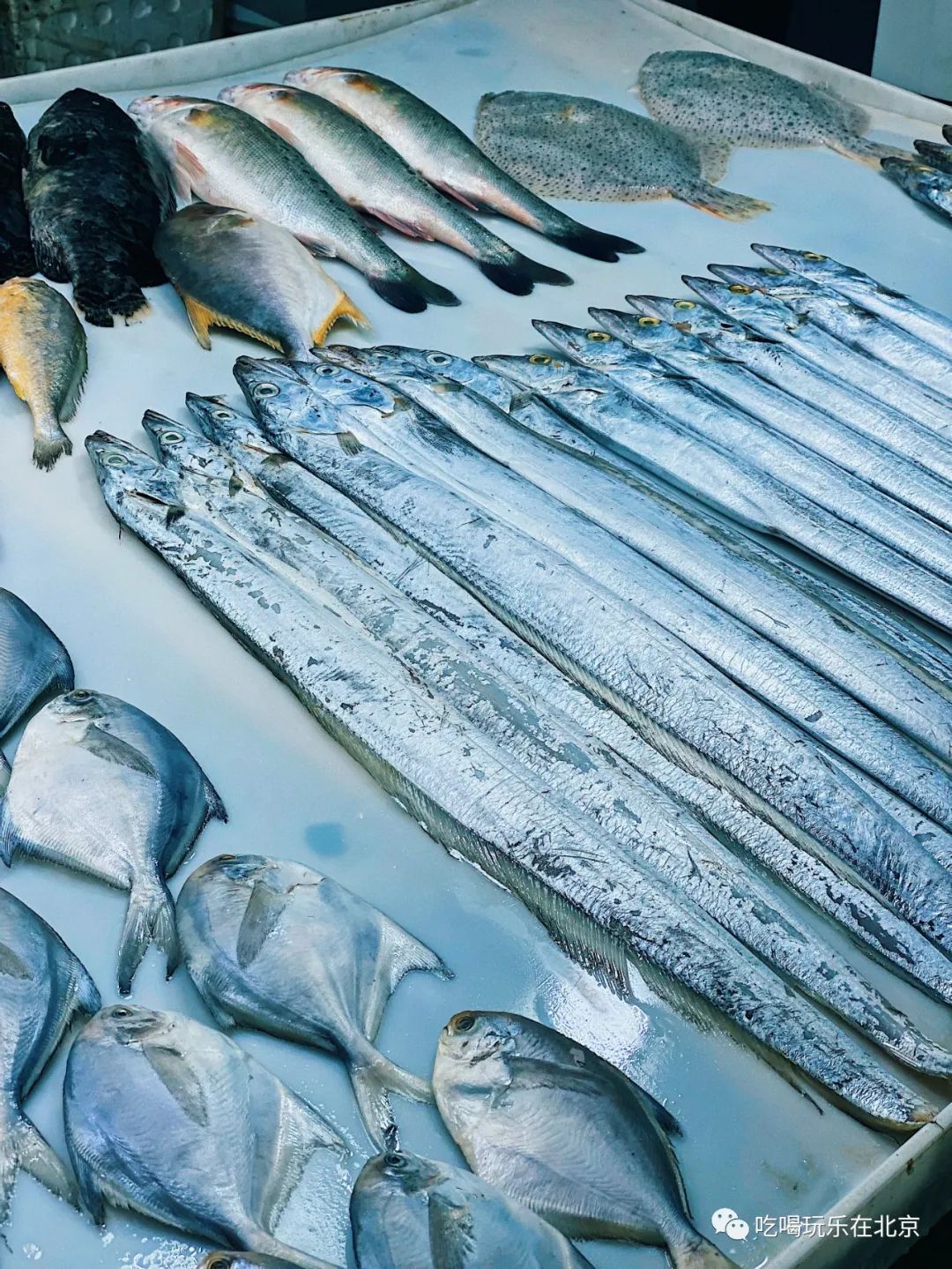 朝阳区海鲜市场,北京朝阳区海鲜市场
