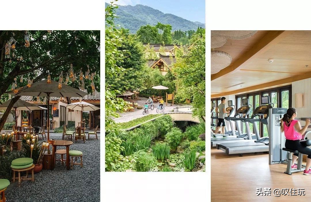 青城山六善酒店是哪个酒店旗下,青城山六善酒店禅意