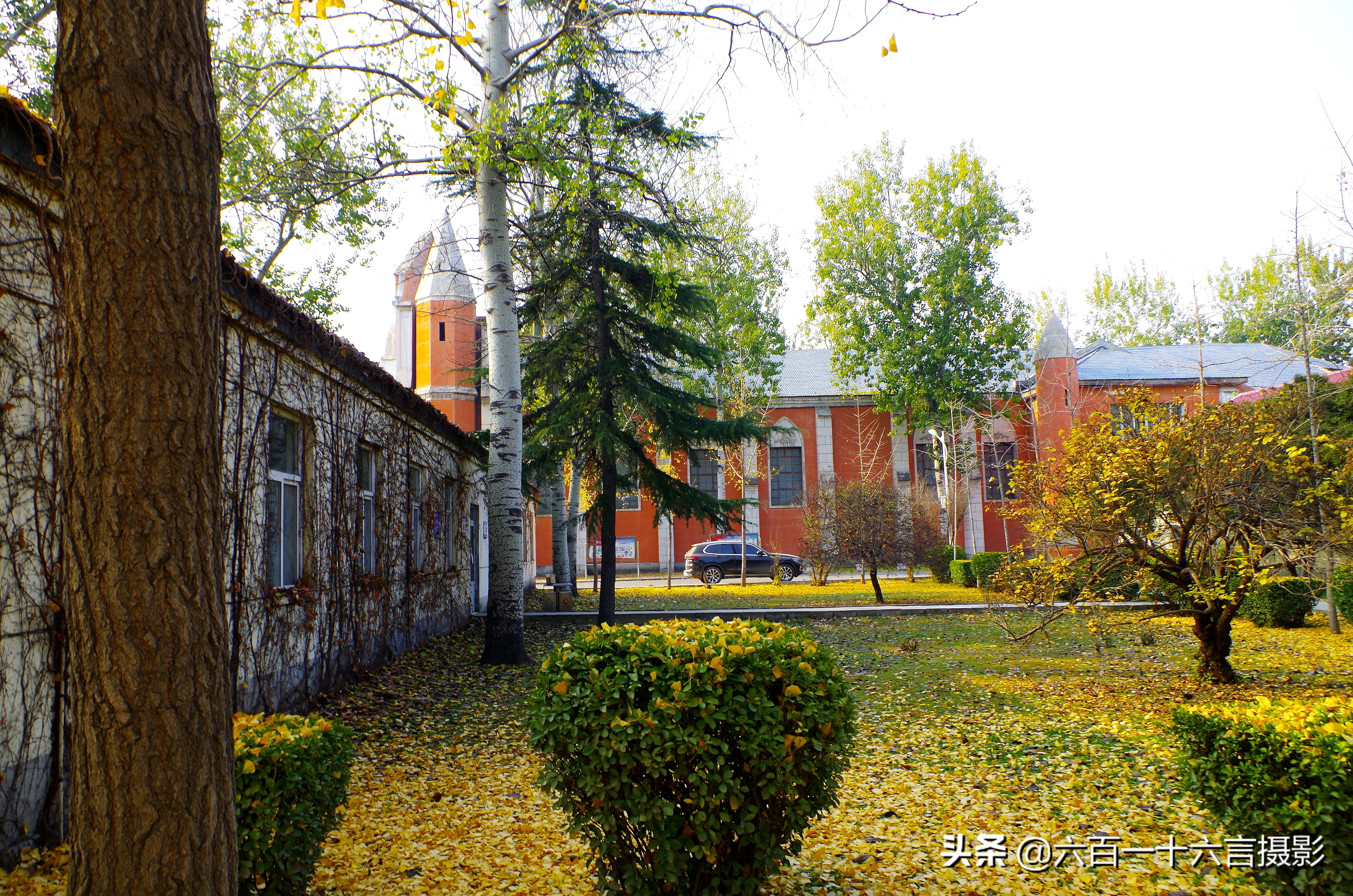 这里是正定04：传说中的御井长这样