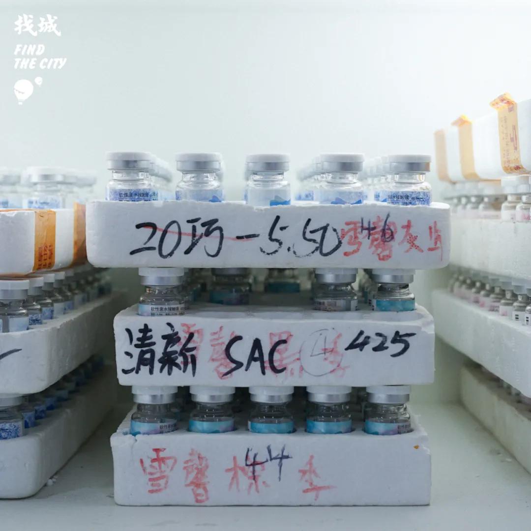 南宁拿货最便宜的市场,南宁最便宜的东西批发市场