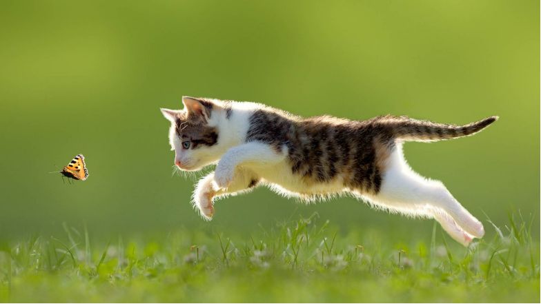 炒股10多年来我的感悟,炒股10年15条投资感悟