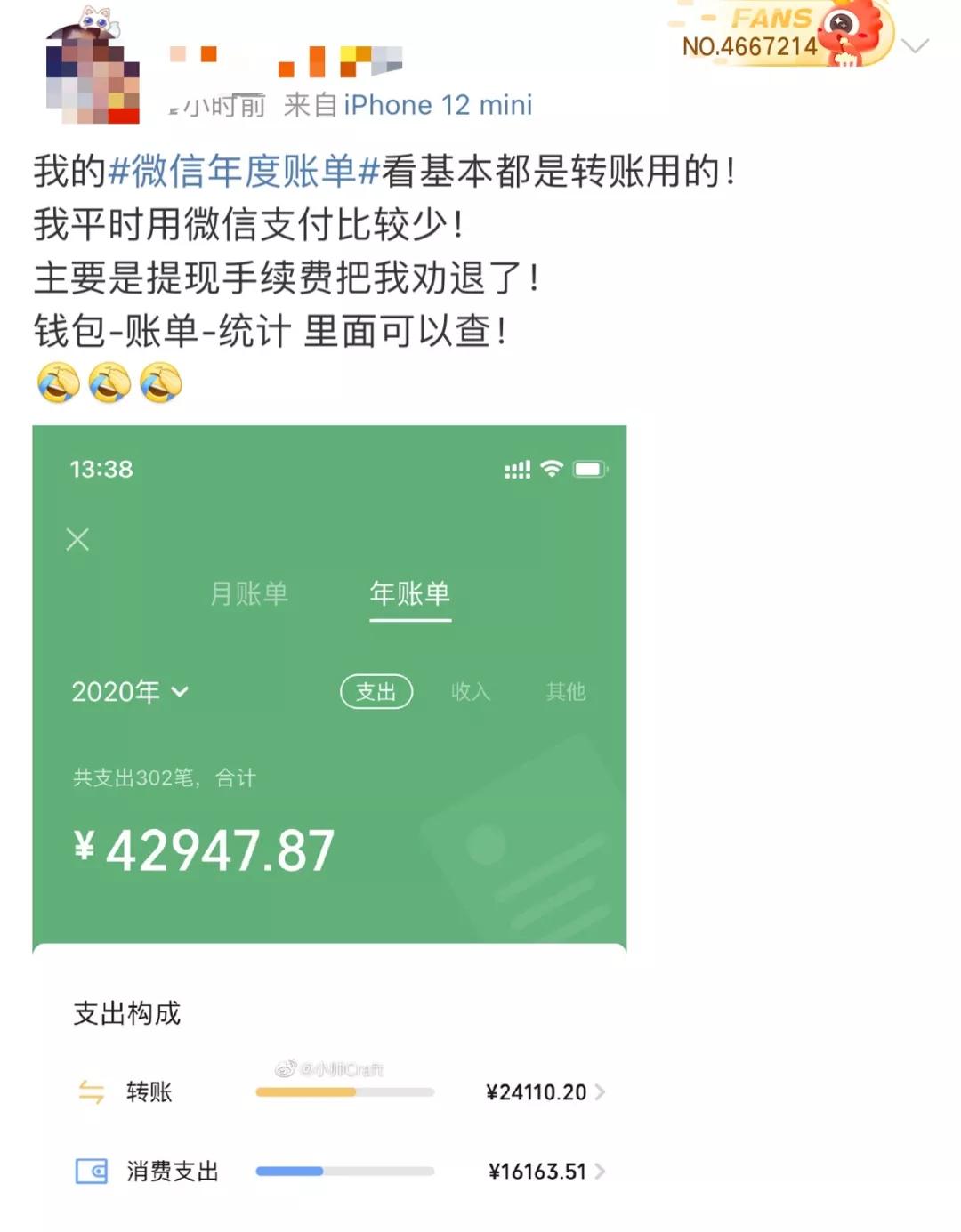 微信年度账单怎么看2020,微信年度账单上线网友