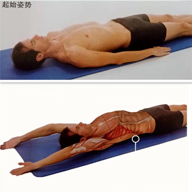 经常玩电脑腰酸背痛？大神教你6个独家拉伸技巧，背部轻松365天