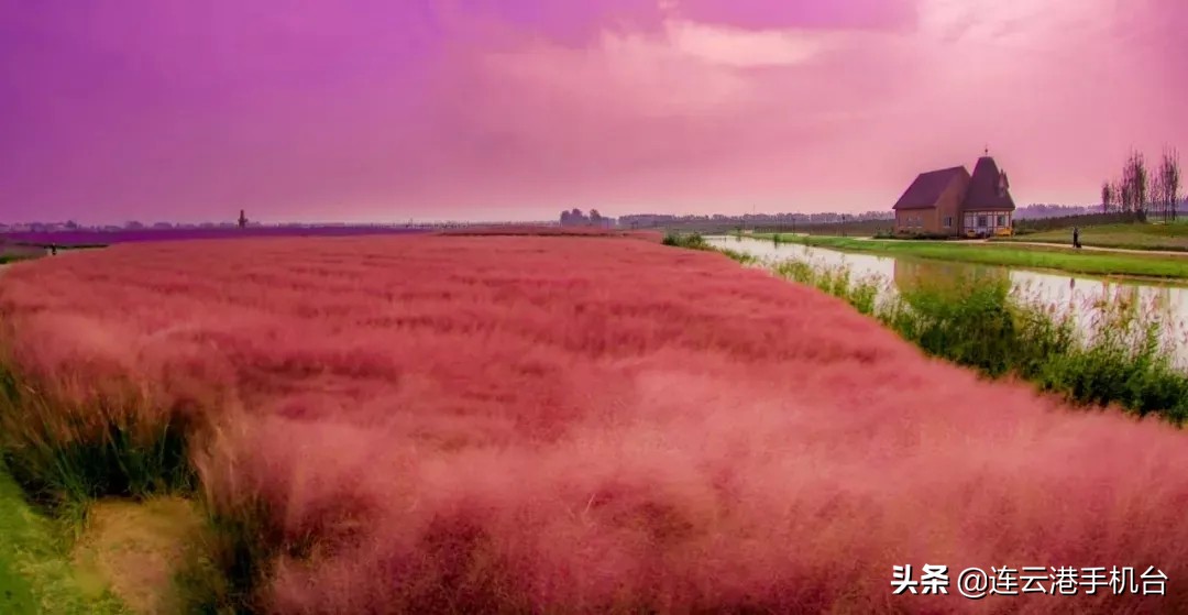 连云港赏秋最佳地点,连云港附近秋天值得去看的地方