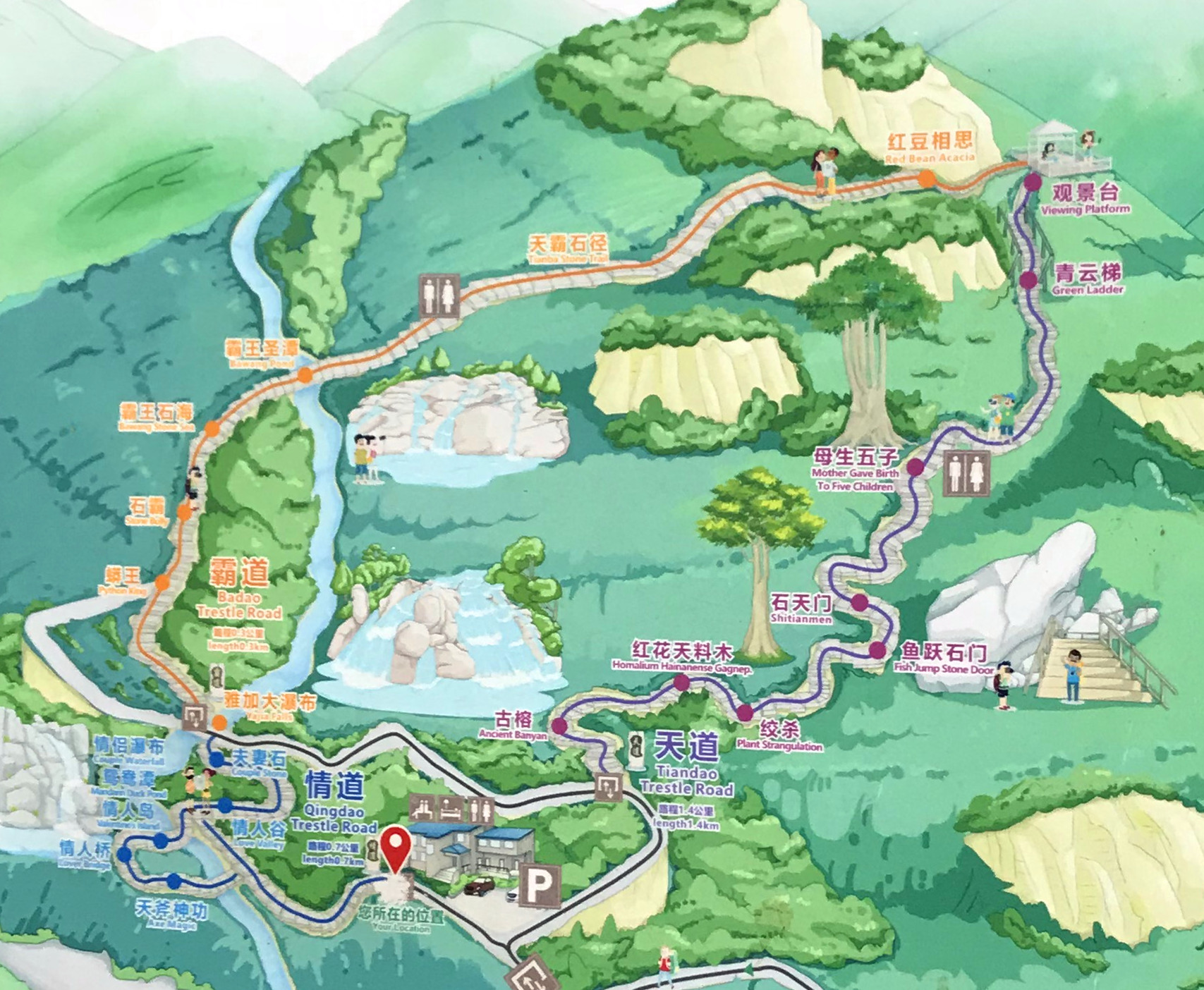 1500年的“母生”藏于此，这里集海南珍稀名木，神奇霸王岭