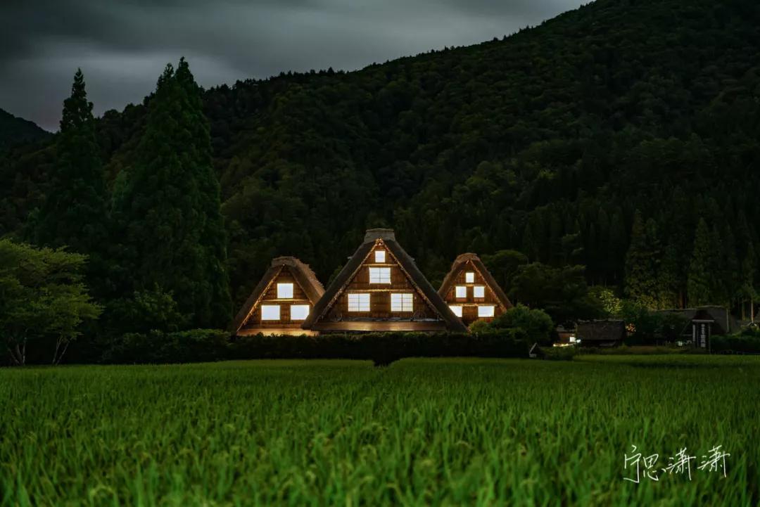 6个标准训练你成为强者,6个高效训练动作