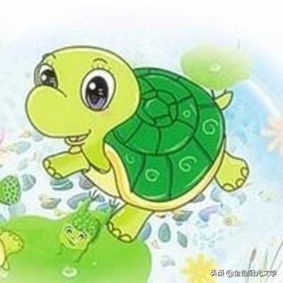 我喜欢的小乌龟,我喜爱的小乌龟