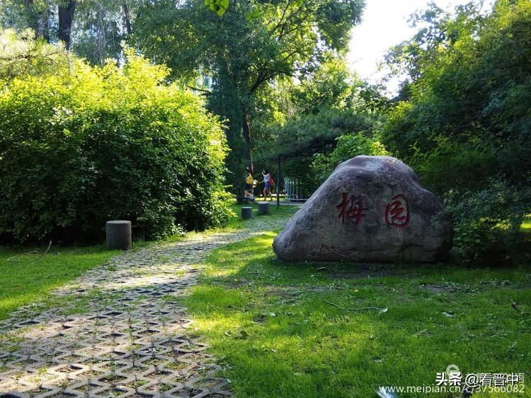 山西农大美丽的校园,山西农大校园风光