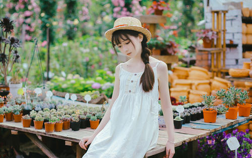 墨宝非宝最好的小说蜜汁炖鱿鱼,蜜汁炖鱿鱼的小说墨宝非宝