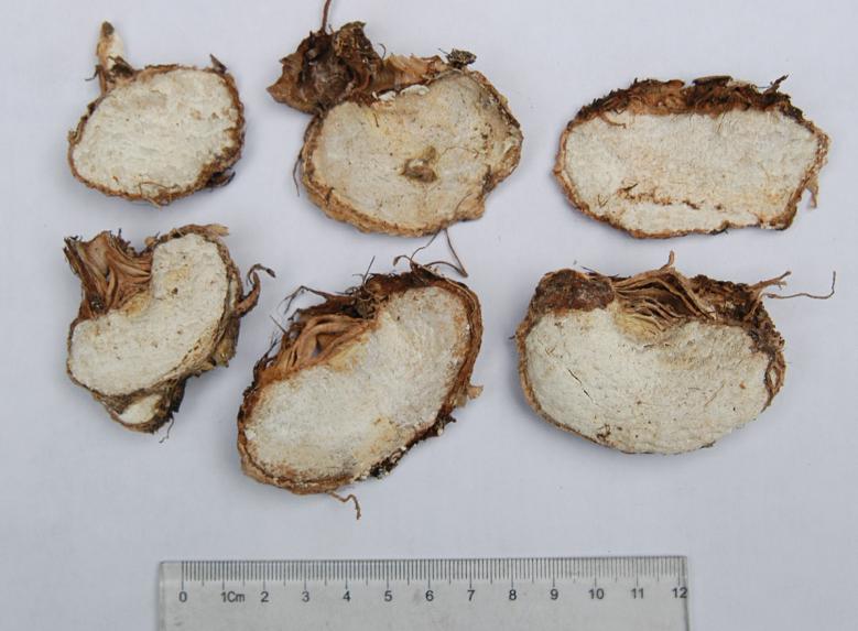 看图识药图片及答案,看图识别虫咬用什么药