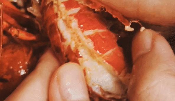 厉害了!湖南这两个城市将成为旅游中心城市