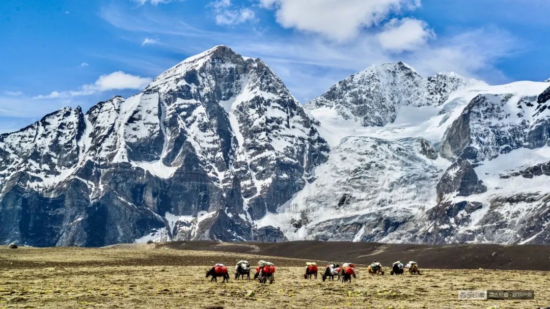 没时间废话了，快去希夏邦马