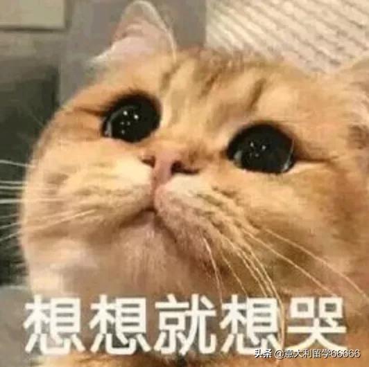 广州飞意大利机票价格表,中国到意大利航班机票价格