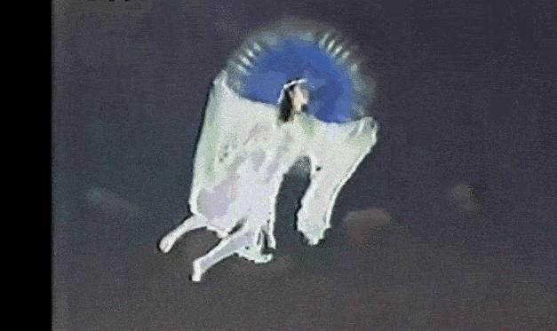 傅艺伟最美妲己沦为阶下囚,傅艺伟从最美妲己到阶下囚