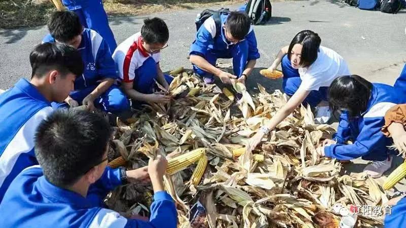 领航校长讲话视频,领航校长是什么