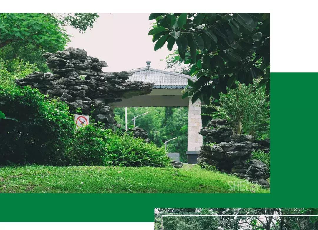 深圳市美美美,深圳最美免费水库