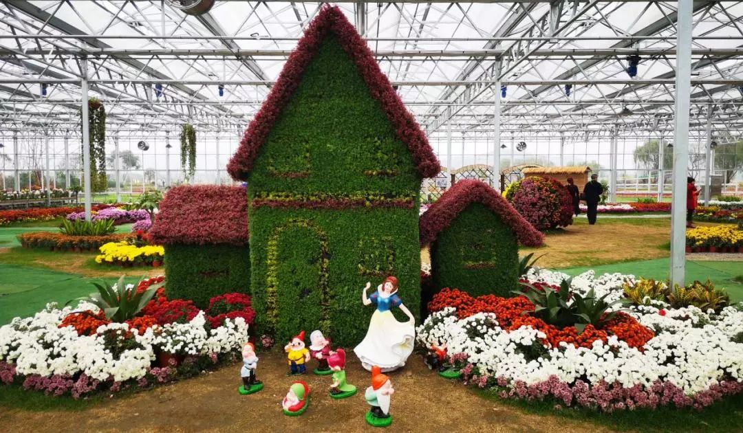 转发此推文,享绍兴平水海丰菊园半价票,更更更送自采菊花一束