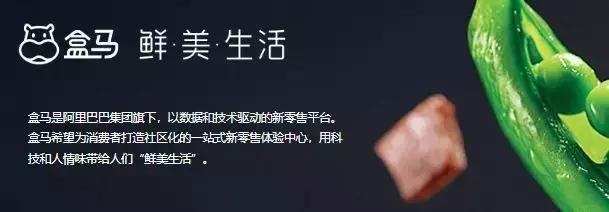 马云去阿里巴巴集团上班全过程,马云在阿里巴巴集团的职位