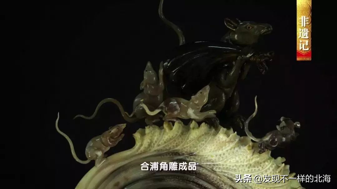 广西合浦是怎么样的?央视是这样全方位介绍这美丽的珠乡的