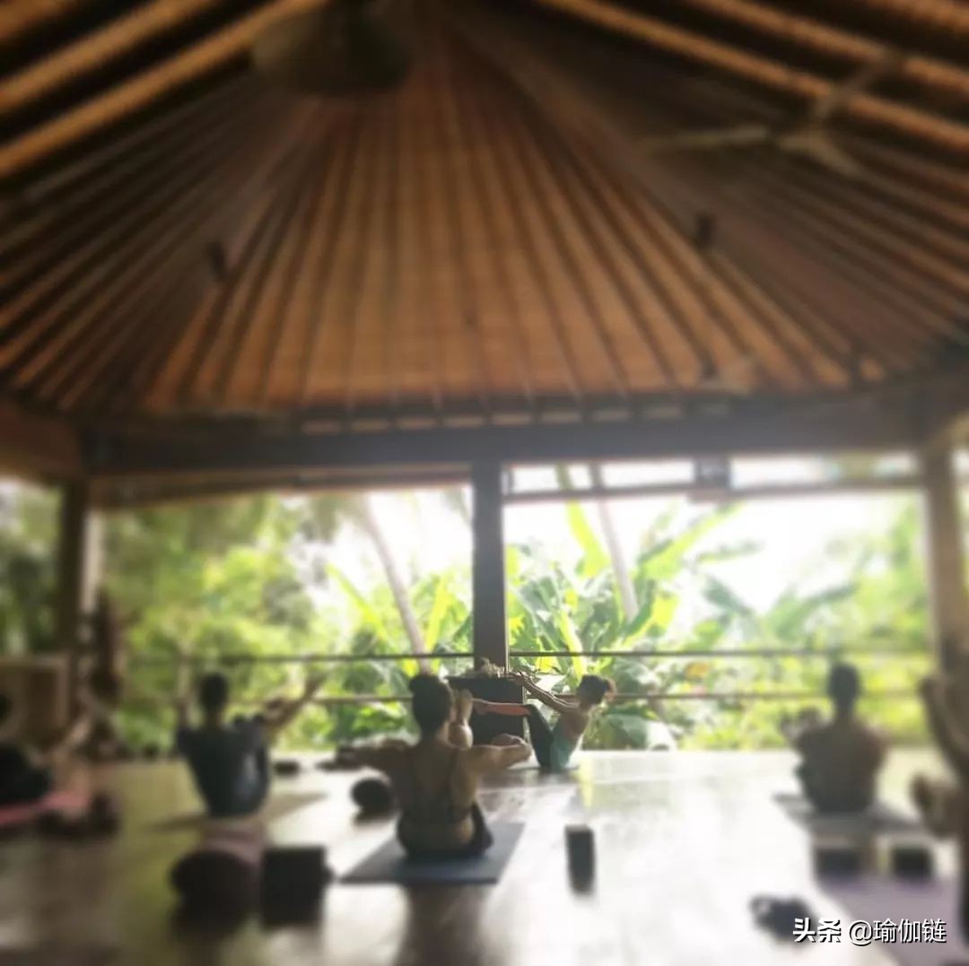 普吉岛瑜伽之旅,世界瑜伽圣地在哪里