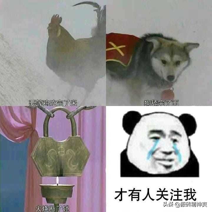 最干净的快速搜索工具,一些比较好用的搜索软件