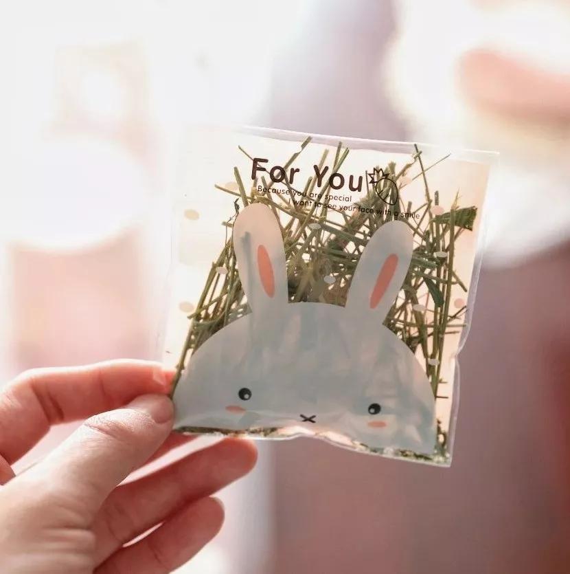 北京有没有撸猫的地方,福州撸兔兔的店