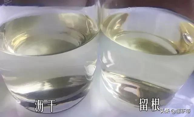 哪些茶是冲泡好的茶,掌握这几点轻松泡出好喝的茶