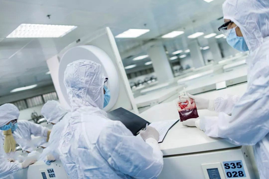 脐带血能用于治疗白血病吗?