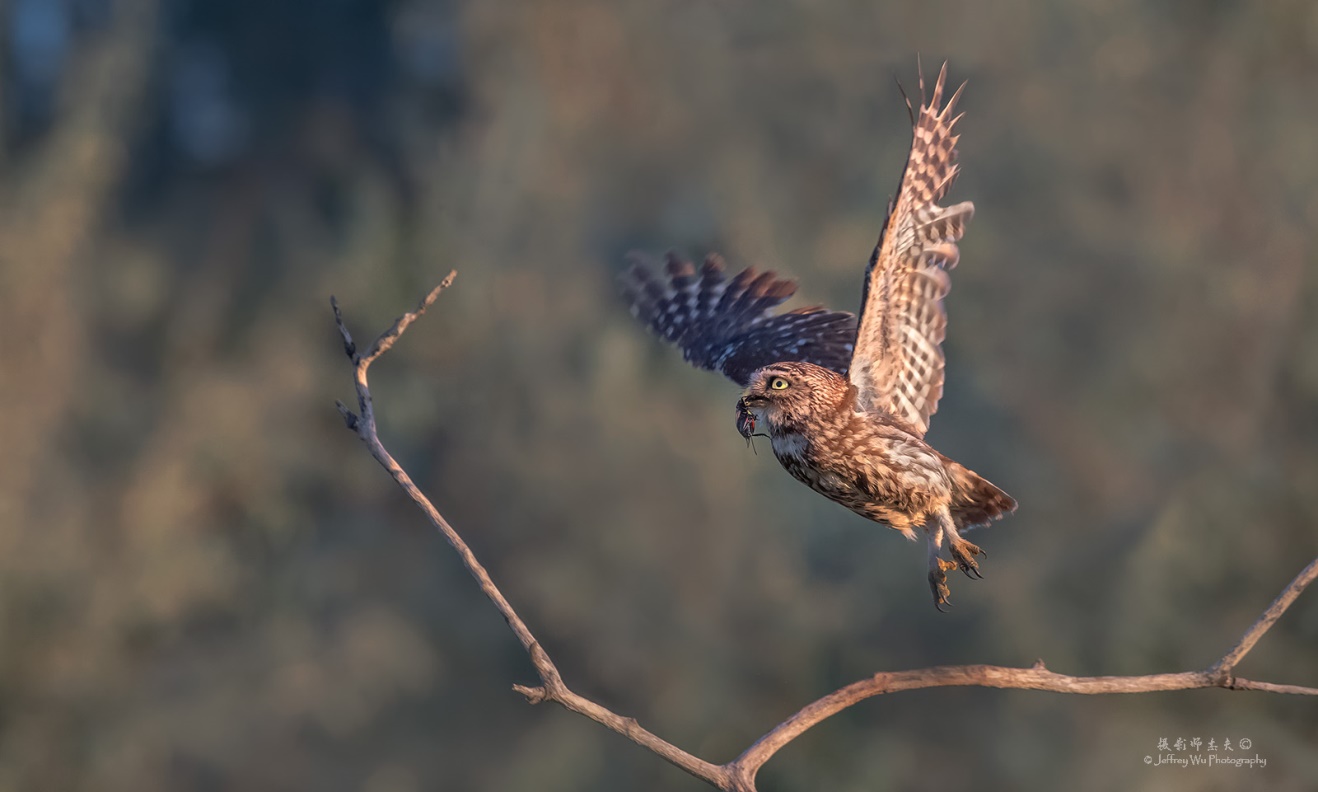 尼康nikond850拍摄视频,摄影器材篇尼康d850