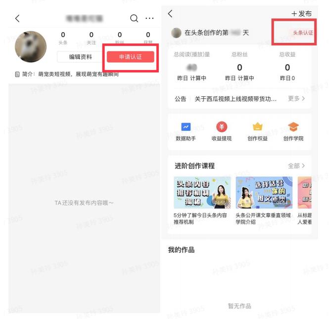 头条申请黄v审核几天,怎么申请头条黄v认证