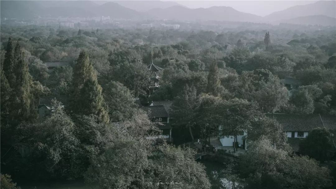 西溪天堂令人沉醉的江南梦境,城市的夜晚江南水乡美如画