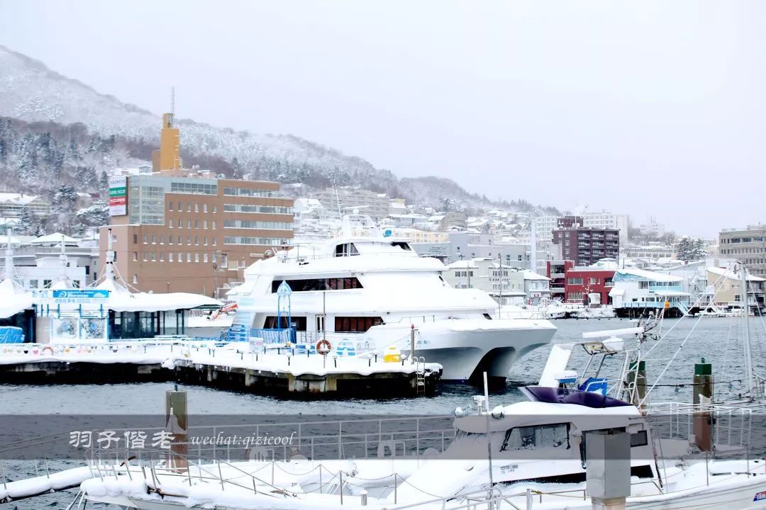 老实说，这一趟北海道就是为了拍好看的照片去的