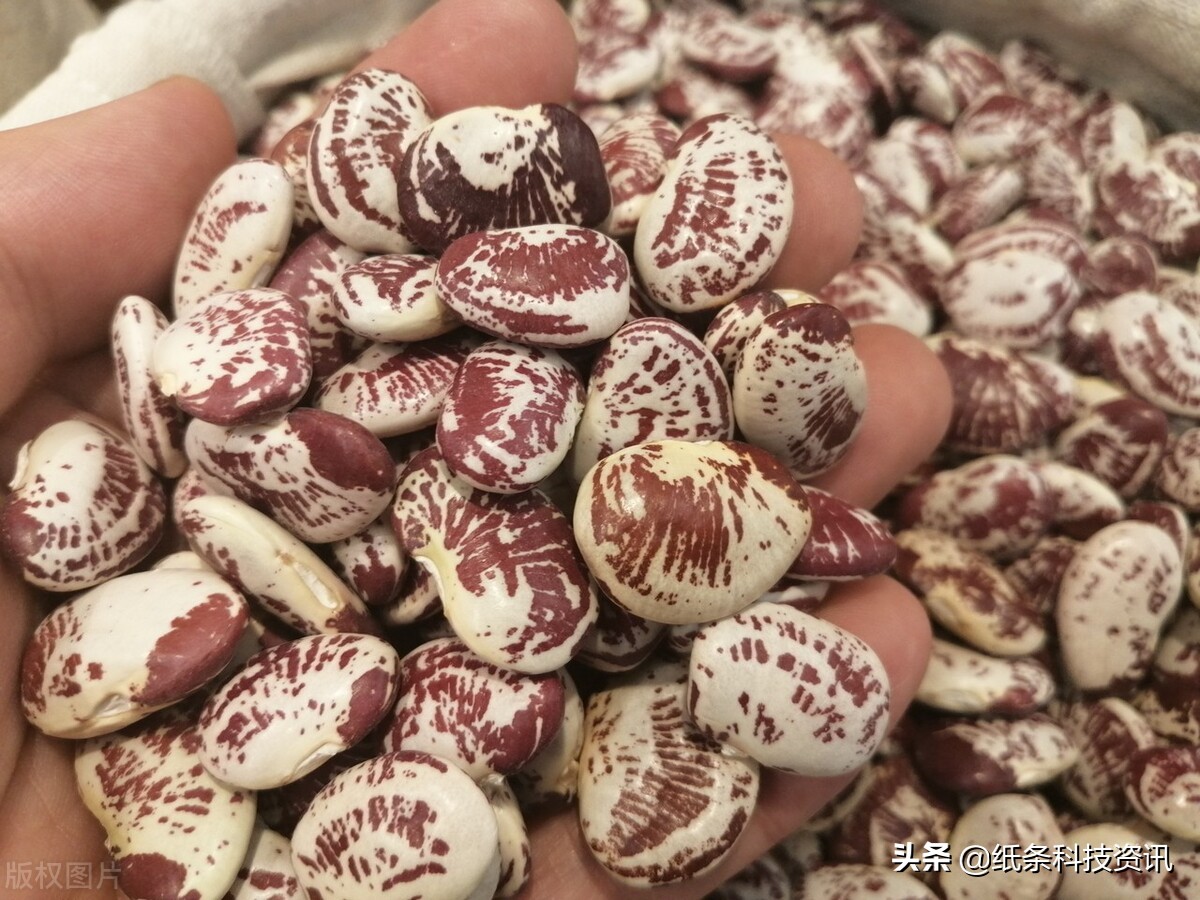 17个惊人冷知识,22个冷知识