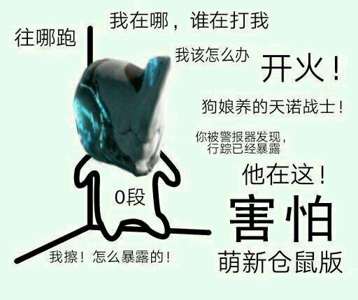 《warframe》——开局一只鼠,装备全靠肝