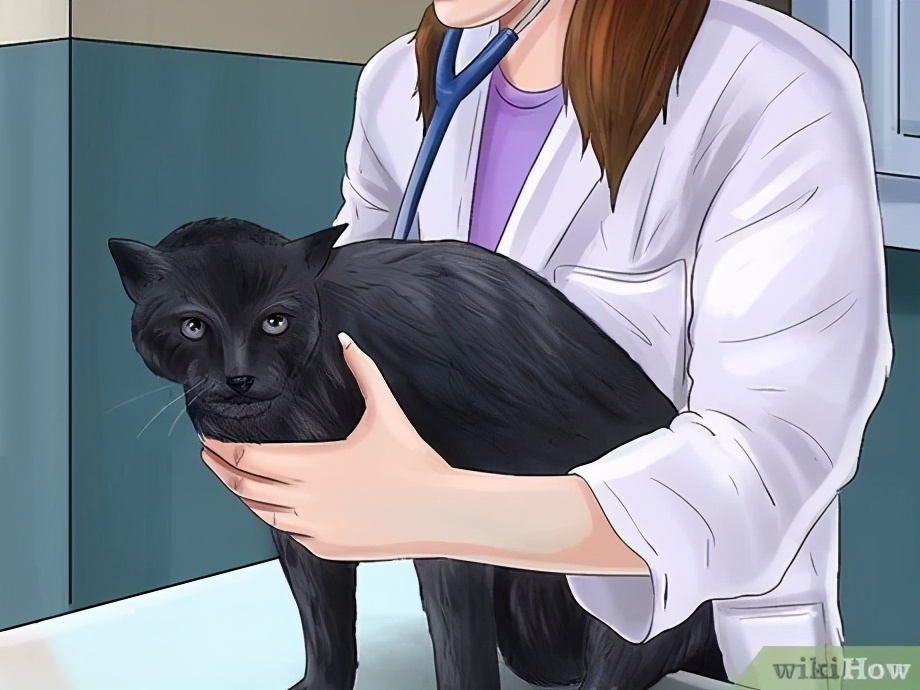 科普鼻炎小知识,慢性鼻炎鼻腔分泌物多