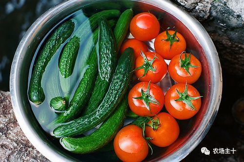 管理农场,或许你还少点火候