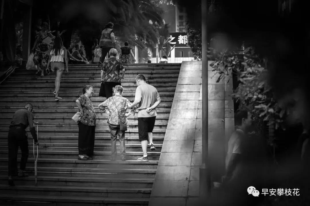 收藏！吐血整理《2019攀枝花大全》，看完秒变“地道”攀枝花人~