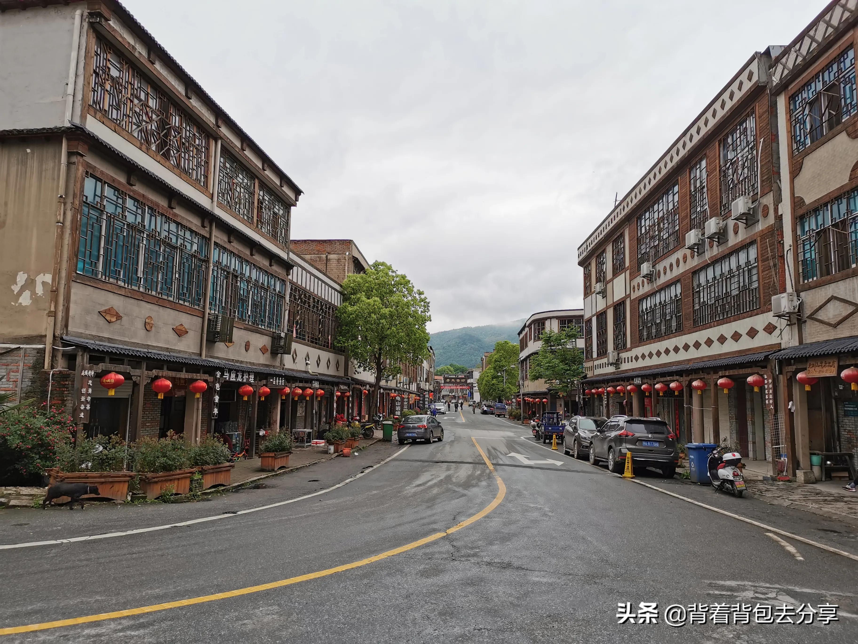 麻城看杜鹃花攻略,去麻城看杜鹃攻略