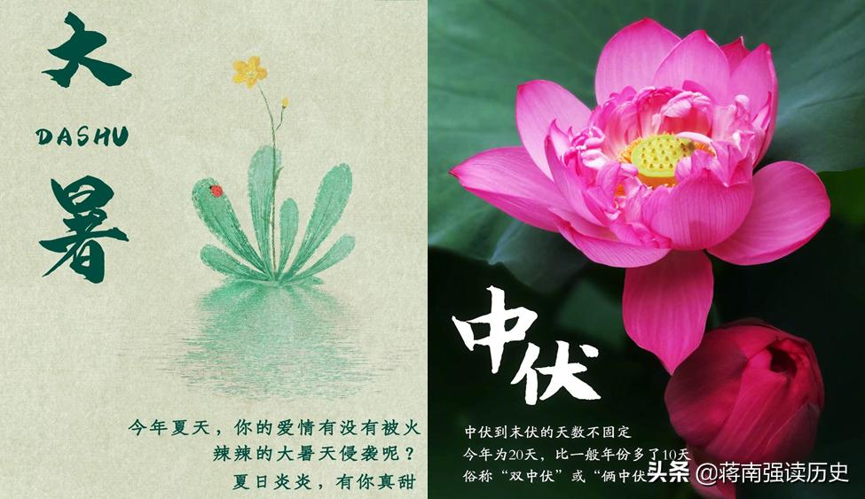 大暑：生如夏花之绚烂，正是我回家的时候