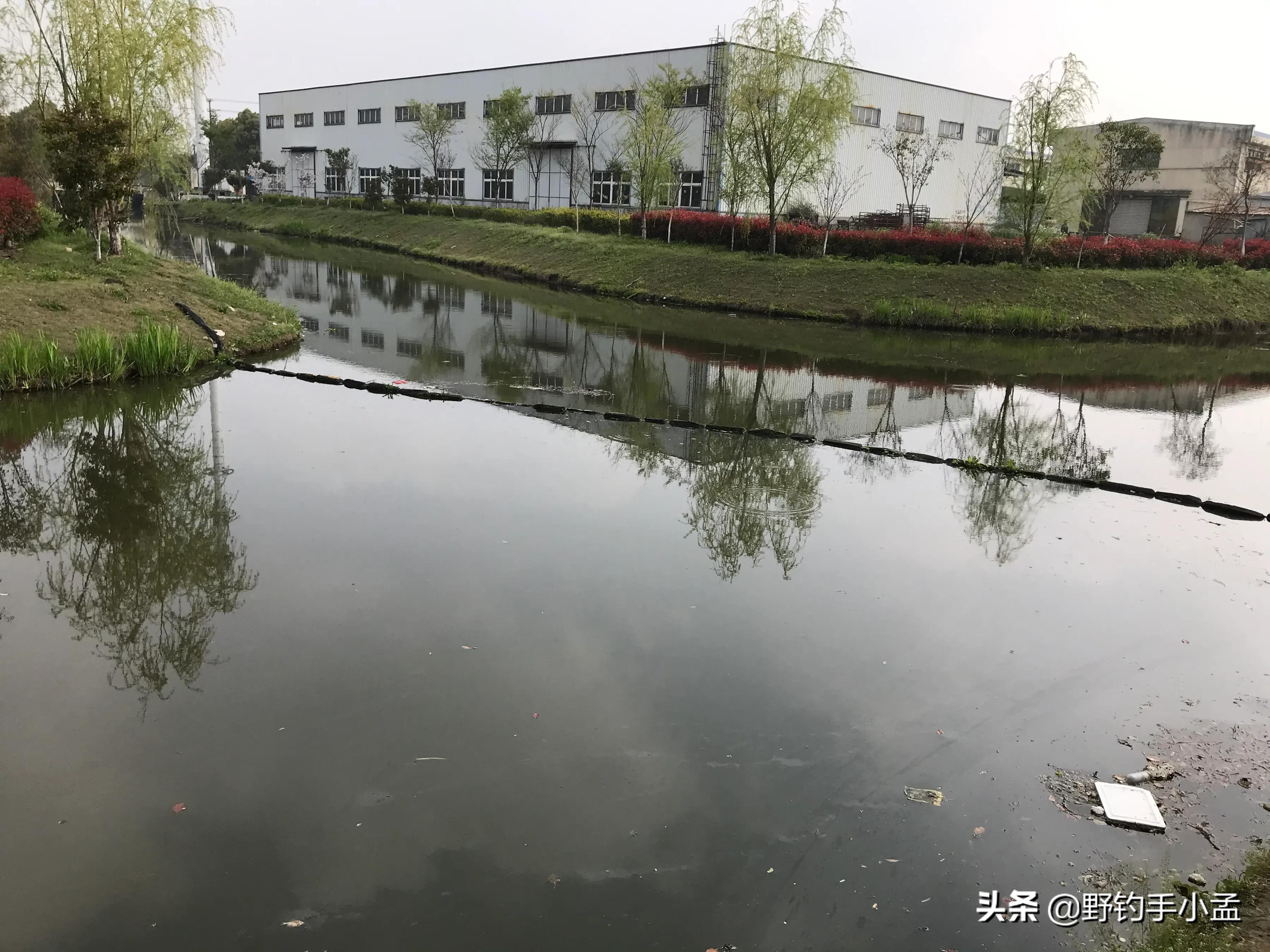 遇到鱼上浮该怎么钓,春季鲫鱼上浮不吃钩怎么钓