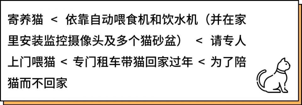 城市里养猫的人非富即贵,有多少人养猫家里有钱了