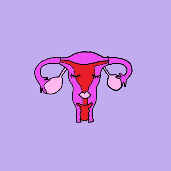 第一次去妇科检查需要注意什么,第一次产检妇科检查都有哪些项目