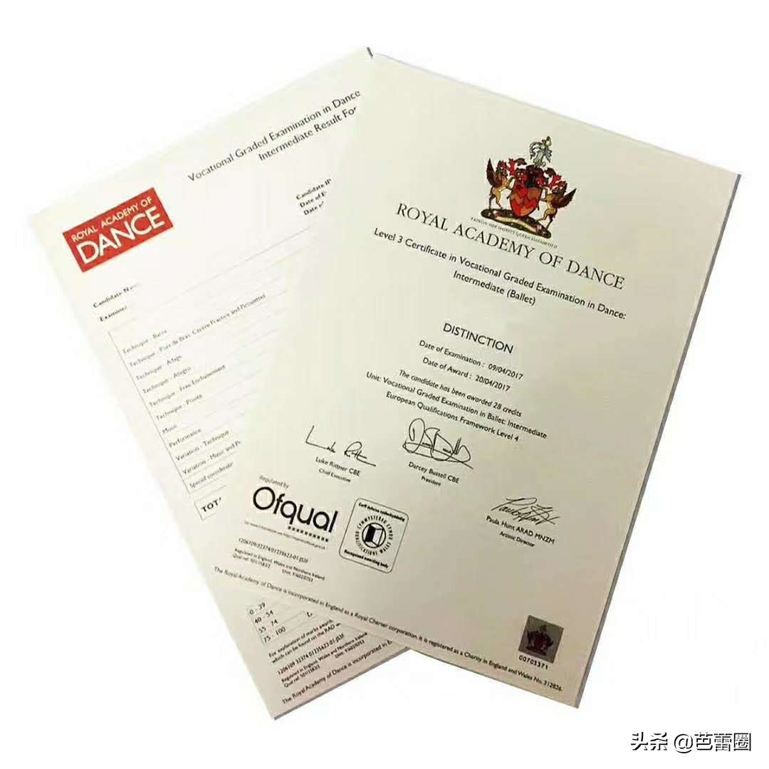 世界顶级芭蕾舞蹈学校,走进世界舞蹈视频完整版