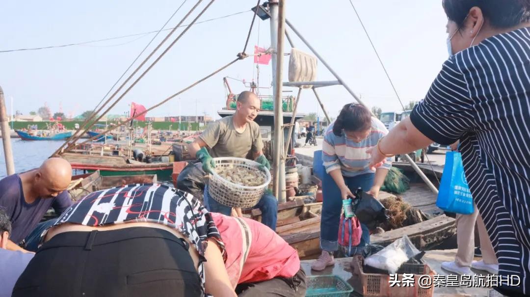 秦皇岛一月份去哪里买海鲜便宜,秦皇岛哪里可以在海边买海鲜